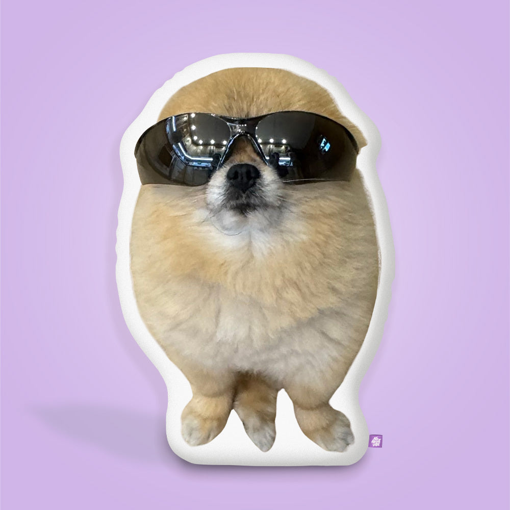 Kool Kori™ – The Coolest Pom Pillow