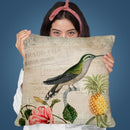 Hummingbird Ii Throw Pillow By Andrea Haase