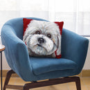 Cotton De Tulear Throw Pillow By Hippie Hound Studios - All About Vibe