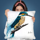 Enlightened Kingfisher Throw Pillow By Ashvin Harrison