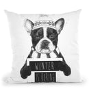 Winter Is Boring Throw Pillow By Balazs Solti