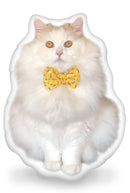 Louie Beeloutiful Throw Pillow