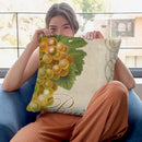 Fruits Classique Vi Throw Pillow By Color Bakery