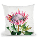 Protea Throw Pillow By Christine Lindstrom