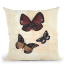 Butterfly Study Ii Throw Pillow By Christine Lindstrom