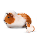 Custom Guinea Pig Pillow
