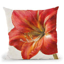 Vivid Amaryllis Throw Pillow By Danhui