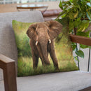 African Elephant Throw Pillow By David Stribbling