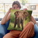 African Elephant Throw Pillow By David Stribbling