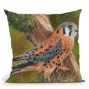 American Kestrel Throw Pillow By David Stribbling