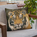Amur Tiger Portrait Throw Pillow By David Stribbling