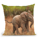 Baby African Elephant Throw Pillow By David Stribbling
