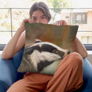 Badger Study Throw Pillow By David Stribbling