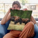 Bison Pair Throw Pillow By David Stribbling