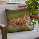 Cooling Off Throw Pillow By David Stribbling