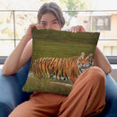 Cooling Off Throw Pillow By David Stribbling