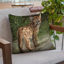 Cougar Cub Throw Pillow By David Stribbling