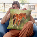 Foal Throw Pillow By David Stribbling