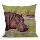Hippo Throw Pillow By David Stribbling