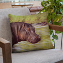 Hippo Throw Pillow By David Stribbling