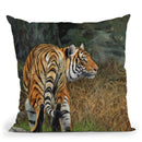 Indo Chinese Tiger Throw Pillow By David Stribbling