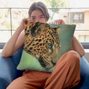 Leopard Profile Ii Throw Pillow By David Stribbling