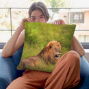 Lion In Grass Throw Pillow By David Stribbling