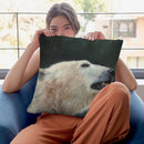 Polar Bear Portrait Throw Pillow By David Stribbling