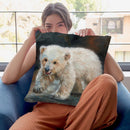 Polar Bear Throw Pillow By David Stribbling