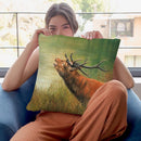 Red Deer Calling I Throw Pillow By David Stribbling
