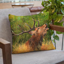 Red Deer Calling Throw Pillow By David Stribbling