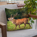 Red Deer Running Throw Pillow By David Stribbling