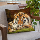 Tiger Stare Throw Pillow By David Stribbling