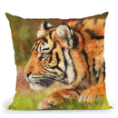 Tiger Study I Throw Pillow By David Stribbling
