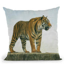 Tiger X Throw Pillow By David Stribbling