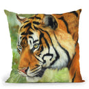 Tiger Vii Throw Pillow By David Stribbling