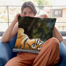 Tiger Back Throw Pillow By David Stribbling