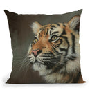 Young Sumatran Tiger Portrait Throw Pillow By David Stribbling