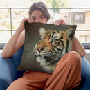 Young Sumatran Tiger Portrait Throw Pillow By David Stribbling