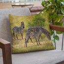 Zebras South Luangwa Throw Pillow By David Stribbling