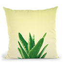 Succulent Simplicity V Throw Pillow By Felicity Bradley