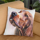 Irish Setter Throw Pillow By George Dyachenko