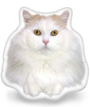 Louie Head In The Game Throw Pillow