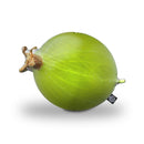 Gooseberry Throw Pillow By All About Vibe