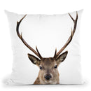 Deer L P Throw Pillow By Little Pitti