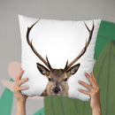 Deer L P Throw Pillow By Little Pitti