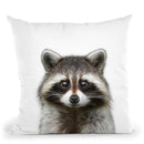 Raccoon Throw Pillow By Little Pitti