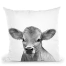 Calf Bw Throw Pillow By Little Pitti