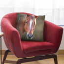 Big Brown Throw Pillow By Mark Ashkenazi