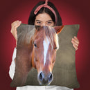 Big Brown Throw Pillow By Mark Ashkenazi